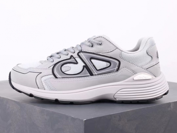 Dior B30 GREY/WHITE 3SN279ZLZ_H860
