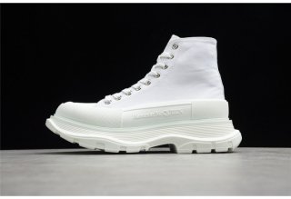 ALEXANDER MCQ12
