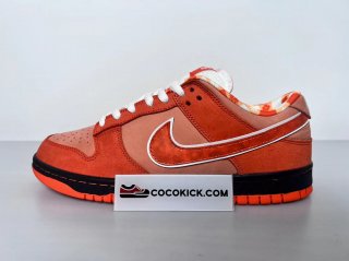 Nike Concepts x Nk SB Dunk Low "Orange Lobster" FD8776-800