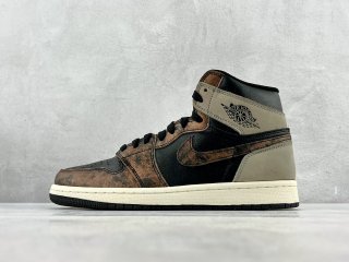 Air Jordan 1 Retro High OG Bronze Chameleon 555088-033
